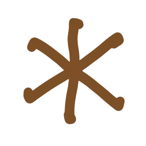 ANUS coin